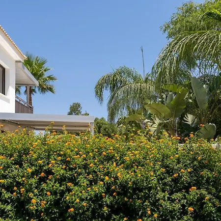 Lime 3-bedroom In *